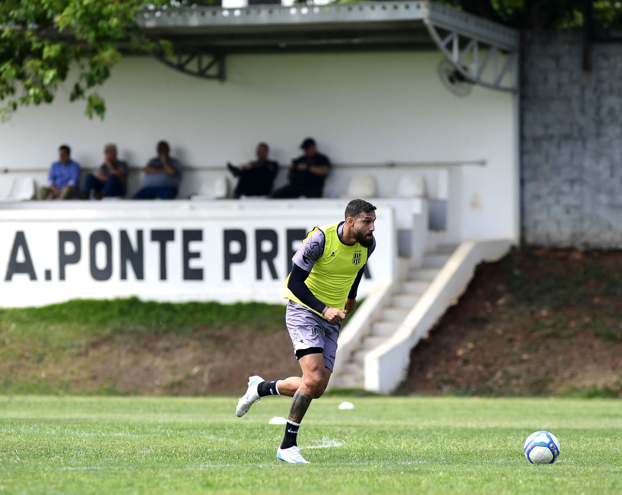 Ponte Preta x Guarani - Palpite, Análise e Tabela 20-10-2024